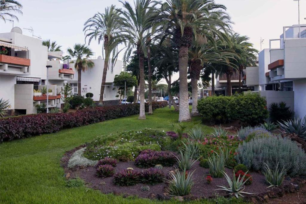 Tenerife Primavera Arona  Bagian luar foto